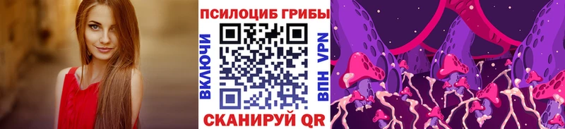 купить закладку  Краснообск  Галлюциногенные грибы мицелий 